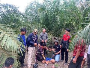 Riki Pembunuh Istri Ditangkap di Kebun Sawit, Lemas Tak Makan Berhari-hari Riki Pembunuh Istri Ditangkap di Kebun Sawit, Lemas Tak Makan Berhari-hari