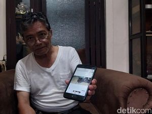 Penjelasan Dokter Hewan Soal 16 Kucing Mati Massal di Kota Malang Penjelasan Dokter Hewan Soal 16 Kucing Mati Massal di Kota Malang