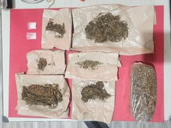 Pengedar Sabu dan Ganja Asal Benowo Surabaya Diringkus