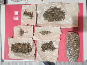 Pengedar Sabu dan Ganja Asal Benowo Surabaya Diringkus Pengedar Sabu dan Ganja Asal Benowo Surabaya Diringkus