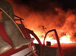 Taman Nasional Way Kambas Terbakar, Satwa Mati Terpanggang