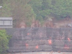 Memanas! Korea Utara Ledakkan Jalan Penghubung ke Korea Selatan