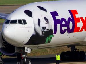 Naik Panda Express, Dua Panda Raksasa Tiba di Washington Naik Panda Express, Dua Panda Raksasa Tiba di Washington