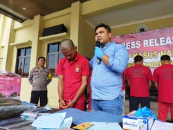 Tanam Pohon Ganja di Kebun, Pria di Pandeglang Ditangkap