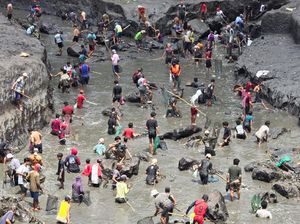 Jelang Musim Tanam 2024-2025, Pemkab Banyuwangi Keringkan DAM Besar