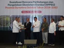 Hampir 1 Juta Hektare Lahan Gambut di Sumsel Lenyap!