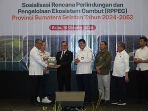 Hampir 1 Juta Hektare Lahan Gambut di Sumsel Lenyap! Hampir 1 Juta Hektare Lahan Gambut di Sumsel Lenyap!