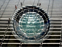 Singapura Begitu Ketat soal Kebersihan, tapi Ada Juga yang Bandel