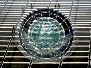 Singapura Begitu Ketat soal Kebersihan, tapi Ada Juga yang Bandel Singapura Begitu Ketat soal Kebersihan, tapi Ada Juga yang Bandel