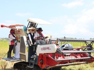 Kolaborasi dengan Petani, Bulog Serap Panen Lewat Program Mitra Tani