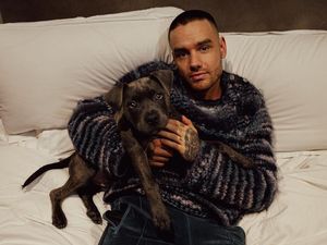 Video: Zayn Malik-Harry Styles Kenang Sosok Liam Payne Video: Zayn Malik-Harry Styles Kenang Sosok Liam Payne