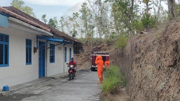 Warga Diamuk Tawon Gung di Kulon Progo, 3 Orang Dilarikan ke RS