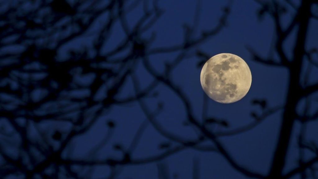 Terpesona Hunter Moon di Langit Tanah Air Terpesona Hunter Moon di Langit Tanah Air