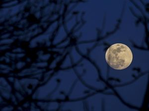 Terpesona Hunter Moon di Langit Tanah Air Terpesona Hunter Moon di Langit Tanah Air