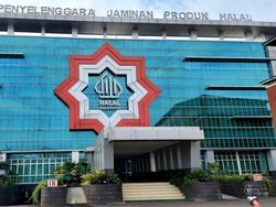 SIHALAL Diperbarui, BPJPH Minta Maaf Sempat Ada Masalah Teknis