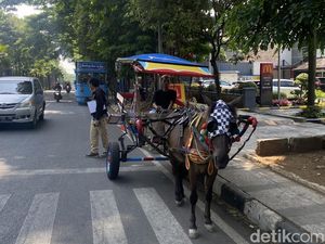 Harapan Kusir Delman yang Mulai Tersisih Zaman di Bandung Harapan Kusir Delman yang Mulai Tersisih Zaman di Bandung