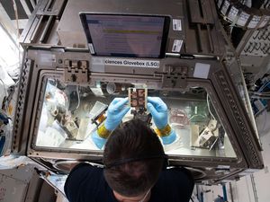 Luar Angkasa Bisa Jadi Laboratorium Besar untuk Pelajari Penuaan, Ini kata Studi