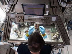 Luar Angkasa Bisa Jadi Laboratorium Besar untuk Pelajari Penuaan, Ini kata Studi