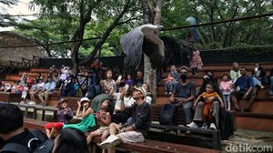 Mengisi Libur Akhir Pekan di Wahana Burung Ancol