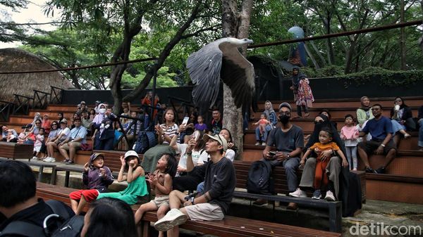 Mengisi Libur Akhir Pekan di Wahana Burung Ancol