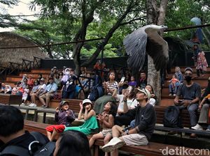 Mengisi Libur Akhir Pekan di Wahana Burung Ancol