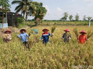 Mina Padi Dorong Ketahanan Pangan-Pemanfaatan Potensi Alam Berkelanjutan Mina Padi Dorong Ketahanan Pangan-Pemanfaatan Potensi Alam Berkelanjutan