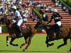 Menanti Tiga Pondasi Ekonomi Baru Jembrana