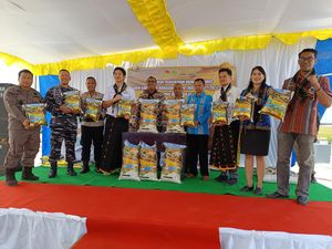 Hotel Tak Manfaatkan Beras Lokal Labuan Bajo karena Kalah Kualitas Hotel Tak Manfaatkan Beras Lokal Labuan Bajo karena Kalah Kualitas