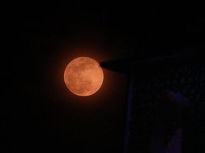 Purnama 10 Juli Kesempatan untuk Lihat Efek Optik Aneh Ilusi Bulan Purnama 10 Juli Kesempatan untuk Lihat Efek Optik Aneh Ilusi Bulan