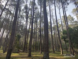 Menelusuri Sejarah Wisata Batu Kuda Bandung