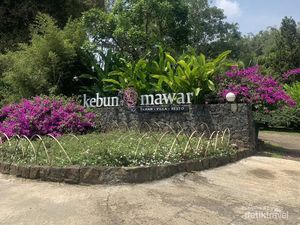 Sejenak Melepaskan Penat di Kebun Mawar Garut yang Romantis