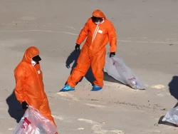 8 Pantai Sydney Diteror Benda Asing Bola Hitam