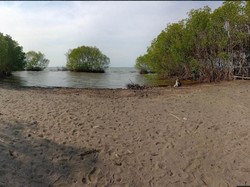 Video: Pulau Burung, Dataran yang Hilang Kini Muncul Kembali