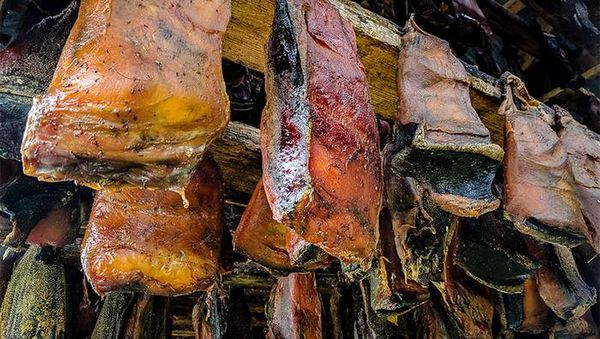 Terungkap! 10 Negara dengan Makanan Paling Tidak Enak Menurut Turis