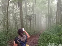 Pemandangan Eksotis-Mistis di Jalur Pendakian Pura Pucak Mangu Gunung Catur
