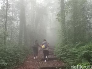 Jalur Pendakian Pura Pucak Mangu Ditutup 28 Hari, Ada Upacara Besar Jalur Pendakian Pura Pucak Mangu Ditutup 28 Hari, Ada Upacara Besar