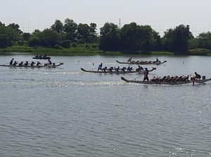 Antusias Masyarakat Saksikan Lomba Dayung Perahu Naga di JSC Palembang Antusias Masyarakat Saksikan Lomba Dayung Perahu Naga di JSC Palembang