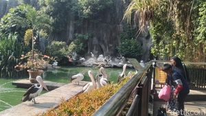 Menghabiskan Akhir Pekan di Ragunan, Datang Sejak Pagi Seru Banget