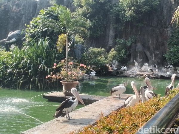 Menghabiskan Akhir Pekan di Ragunan, Datang Sejak Pagi Seru Banget