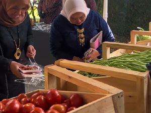 Viral Pernikahan Pakai Suvenir Sayuran, Tamu Undangan Antusias