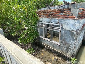 Potret Desa Mayangan yang Melawan Ditelan Laut Jawa