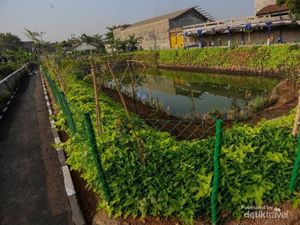Kolam Retensi Derwati, Solusi Asri Pencegah Banjir di Bandung Kolam Retensi Derwati, Solusi Asri Pencegah Banjir di Bandung