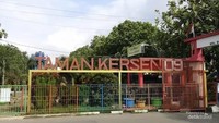 Taman Kersen, Oase Tersembunyi buat Bermain Anak-anak di Bandung