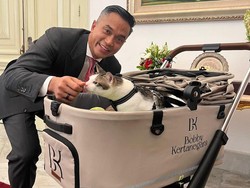 Kucing Kesayangan Prabowo Bobby Kertanegara Naik Pet Stroller Dibawa ke Istana