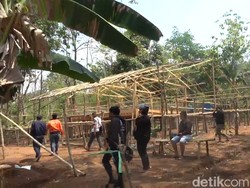 Polisi Bakar Arena Judi Sabung Ayam di Desa Damai Maros