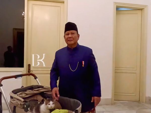 7 Foto Bobby Kertanegara, Kucing Presiden Prabowo Naik Stroller Belasan Juta