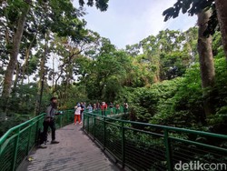 Menyesap Kesyahduan dan Segarnya Udara Pagi di Babakan Siliwangi
