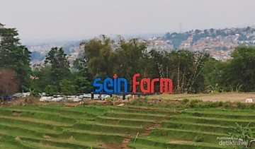 Pesona Tersembunyi: Lahan Pertanian Unik dari Bandung yang Harus Kamu Ketahui!