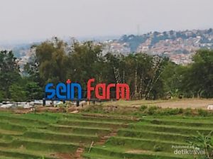 Bukan Lahan Pertanian Biasa dari Bandung