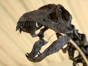 Penelitian Ungkap Ada Interaksi Manusia Purba dengan Dinosaurus Penelitian Ungkap Ada Interaksi Manusia Purba dengan Dinosaurus